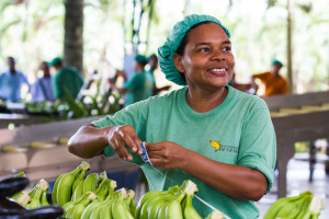 Banana worker